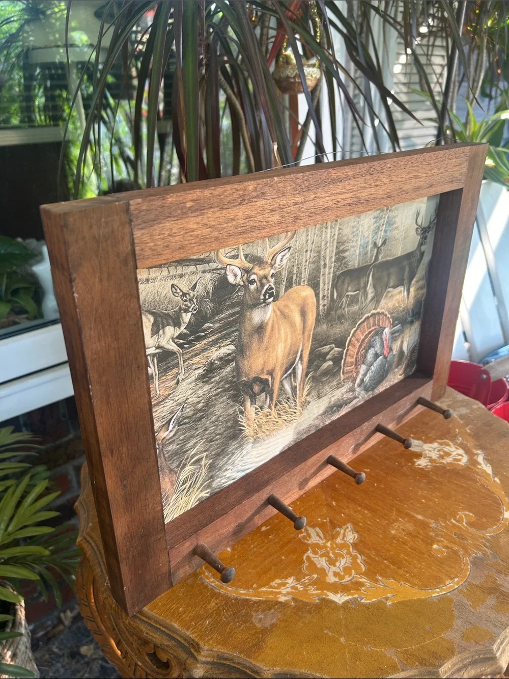 Vintage Framed Wildlife Wall Art with Pegs
